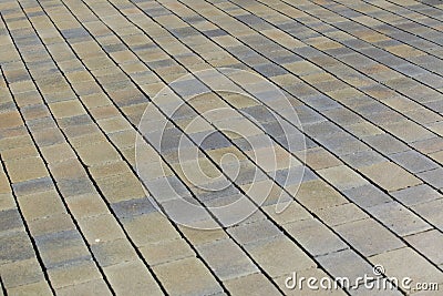 Brick paved walkway Stock Photo