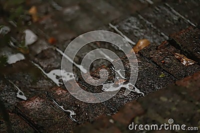 Brick Steps in the Rain Stock Photo