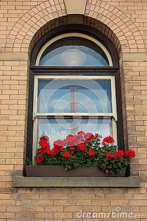 Brick wall with arched windows, flower pots. Old ornamented window with flowers Stock Photo