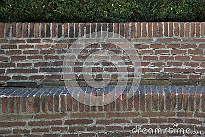 Brick wall with plant in medieval garden Stock Photo