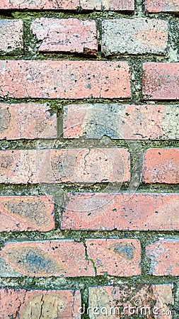 Brick wall texture Stock Photo