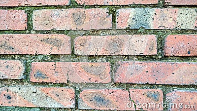 Brick wall texture Stock Photo