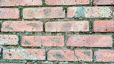 Brick wall texture Stock Photo