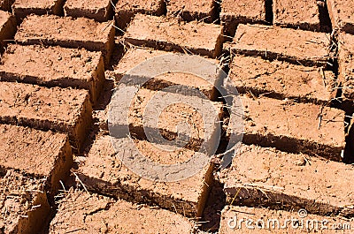 Bricks dried on the sun Stock Photo