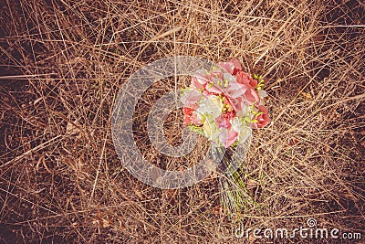 Bridal autumn bouquet with red and white roses over yellow autumn grass. Stock Photo