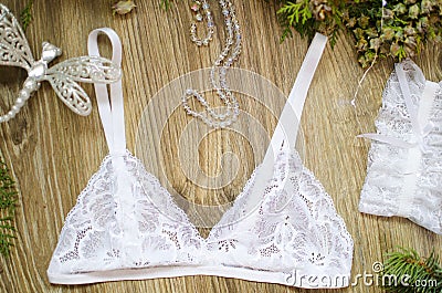 Bridal Christmas lace lingerie set. White bra and panties set on Stock Photo