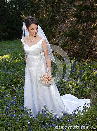 Bride in bluebonnet field Stock Photo