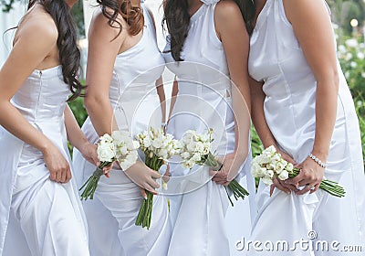 Bride and bridesmaids Stock Photo