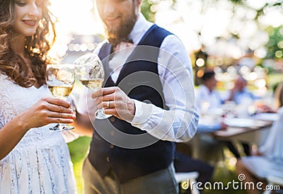 Bride and groom clinking glasses at wedding reception outside in the backyard. Stock Photo