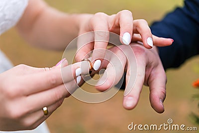 The bride and groom exchange wedding rings at the wedding Stock Photo