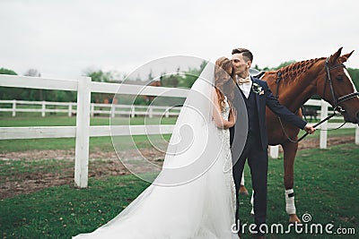 Bride and groom in forest with horses. Wedding couple. Beautiful portrait in nature Stock Photo