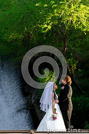 Bride and Groom In Front of a Waterfall Stock Photo