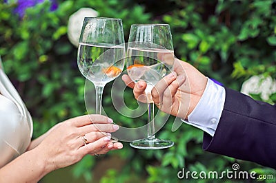 Bride and groom holding glasses with goldfish Stock Photo
