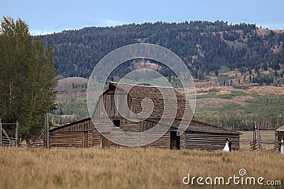 Bride and Groom married by rustic barn in Wyoming Editorial Stock Photo