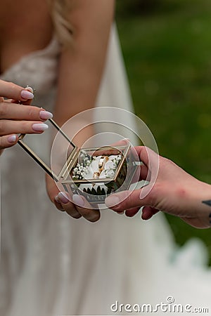 bride groom together close hands rings love Stock Photo