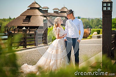 The bride and groom on a walk in the summer. Newlyweds in the park. Summer wedding in nature, Ukraine, Dnipro Stock Photo