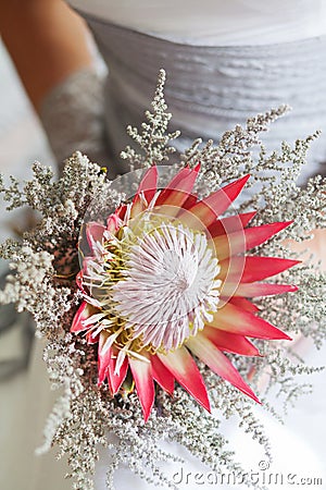 Bride holding her beautiful protea flower bouquet Stock Photo