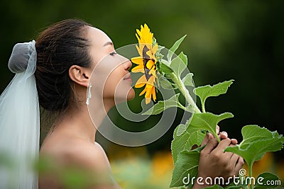 Bride holds a wedding bouquet. Bride wedding white dress with sunflower in the garden. Stock Photo