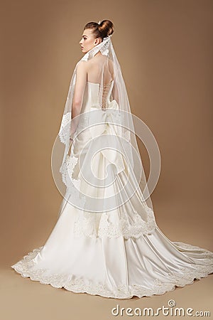 Bride in Light Sumptuous Dress and Veil Stock Photo