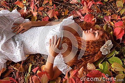 Bride lying among red leaves Stock Photo