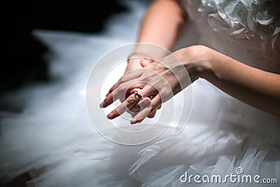 Bride putting Ring Stock Photo