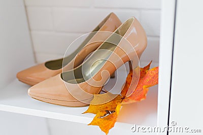 Bride shoes Stock Photo