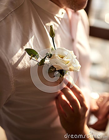 Bride straightens the groom`s boutonniere Stock Photo