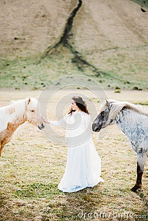 Bride strokes a red horse in the pasture. Iceland Stock Photo