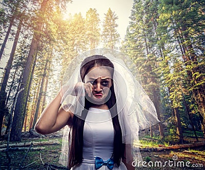 Bride with tearful face, pine forest on background Stock Photo