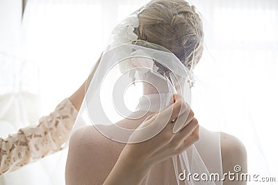 Bride wearing a veil Stock Photo