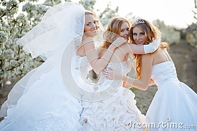 Brides Stock Photo