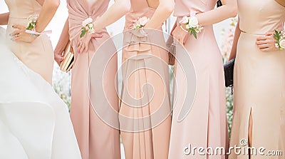 Bridesmaids are posting for a photo shoot Stock Photo