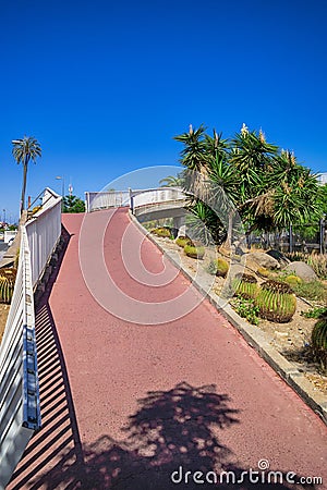 Bridge Across Park With Giant Cactuses in Maspalomas Resort at Gran Canaria Stock Photo