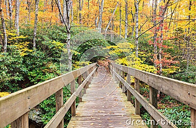 Bridge along the Tanawha Trail in North Carolina Stock Photo