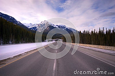 Bridge for animals in Banff National park Stock Photo