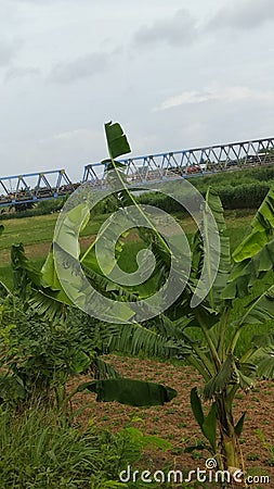 Bridge at bussy traffic in weekend holiday Stock Photo