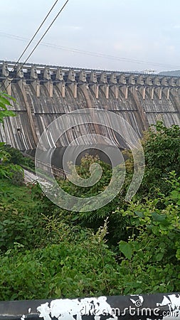 Bridge canal tree Stock Photo