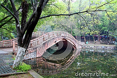 Bridge in chinese park. Stock Photo