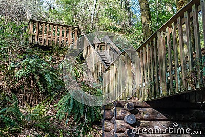 Bridge At Dash Point Stock Photo