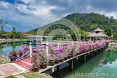 Bridge with flowers across the bay in a tropical garden Editorial Stock Photo