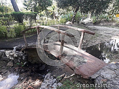 Bridge forest Stock Photo