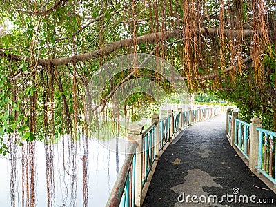 Bridge in the garden Stock Photo