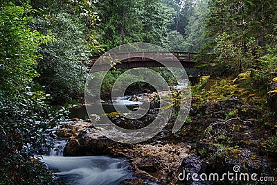 Bridge at Little Qualicum Falls Provincial Park Stock Photo