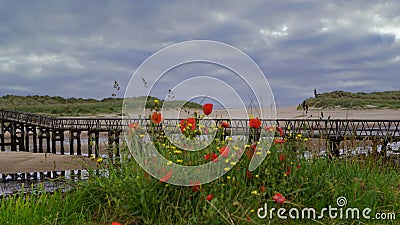 Bridge in Lossiemouth in Scotland Stock Photo