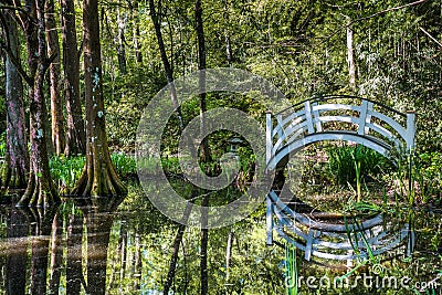 Bridge at Magnolia Gardens, Charleston SC Stock Photo