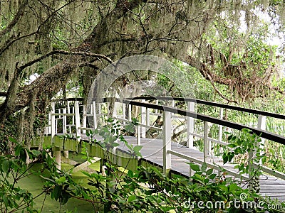 Bridge at Magnolia Plantation in Charleston, SC Stock Photo