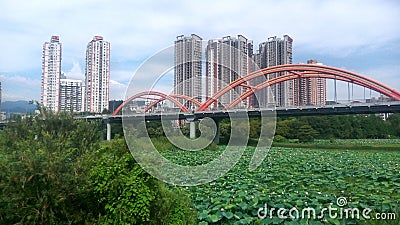 The bridge and modern city in SHENZHEN,CHINA,ASIA Editorial Stock Photo