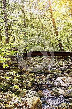 Bridge in Purgatory Chasm State Reservation on trail Berkshires, Massachusetts USA Autumn Stock Photo