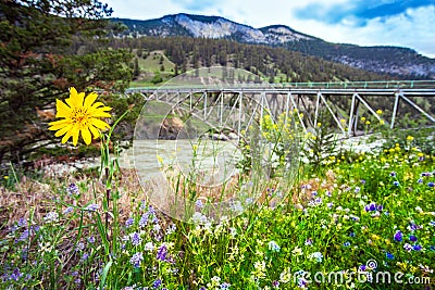 Bridge over the Fraser River at Williams Lake British Columbia C Stock Photo