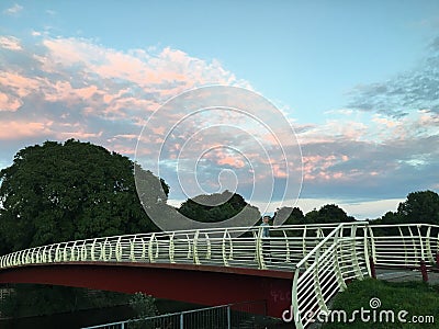 Bute Park bridge Editorial Stock Photo